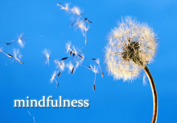 mindfullness y meditacion